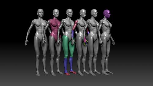 Training your eye – ZBrush Anatomy and Character Creation Course